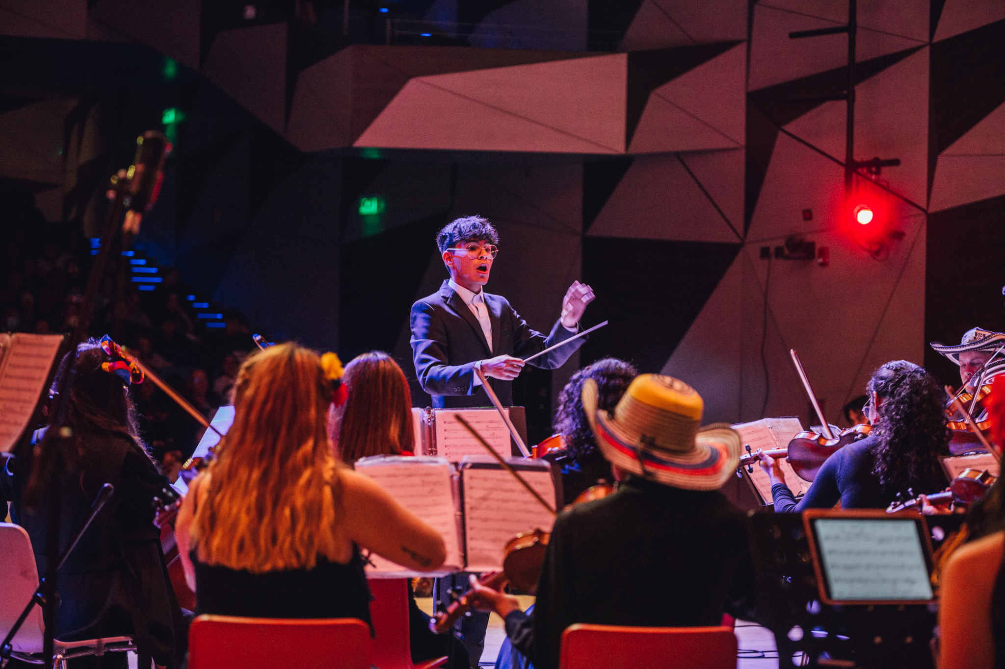 Orquesta de cuerdas